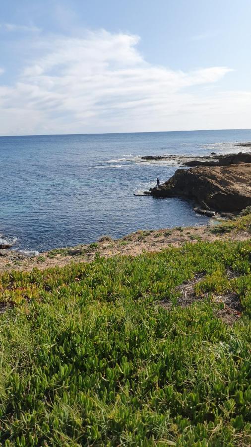 Sunny Apartament Near La Mata Beach ตอร์เรเวียคา ภายนอก รูปภาพ
