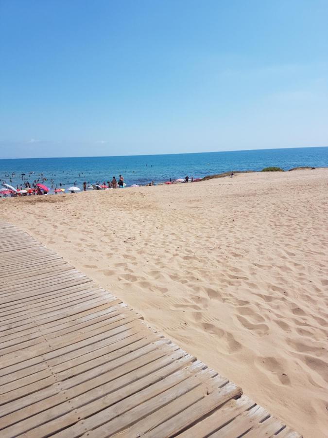 Sunny Apartament Near La Mata Beach ตอร์เรเวียคา ภายนอก รูปภาพ