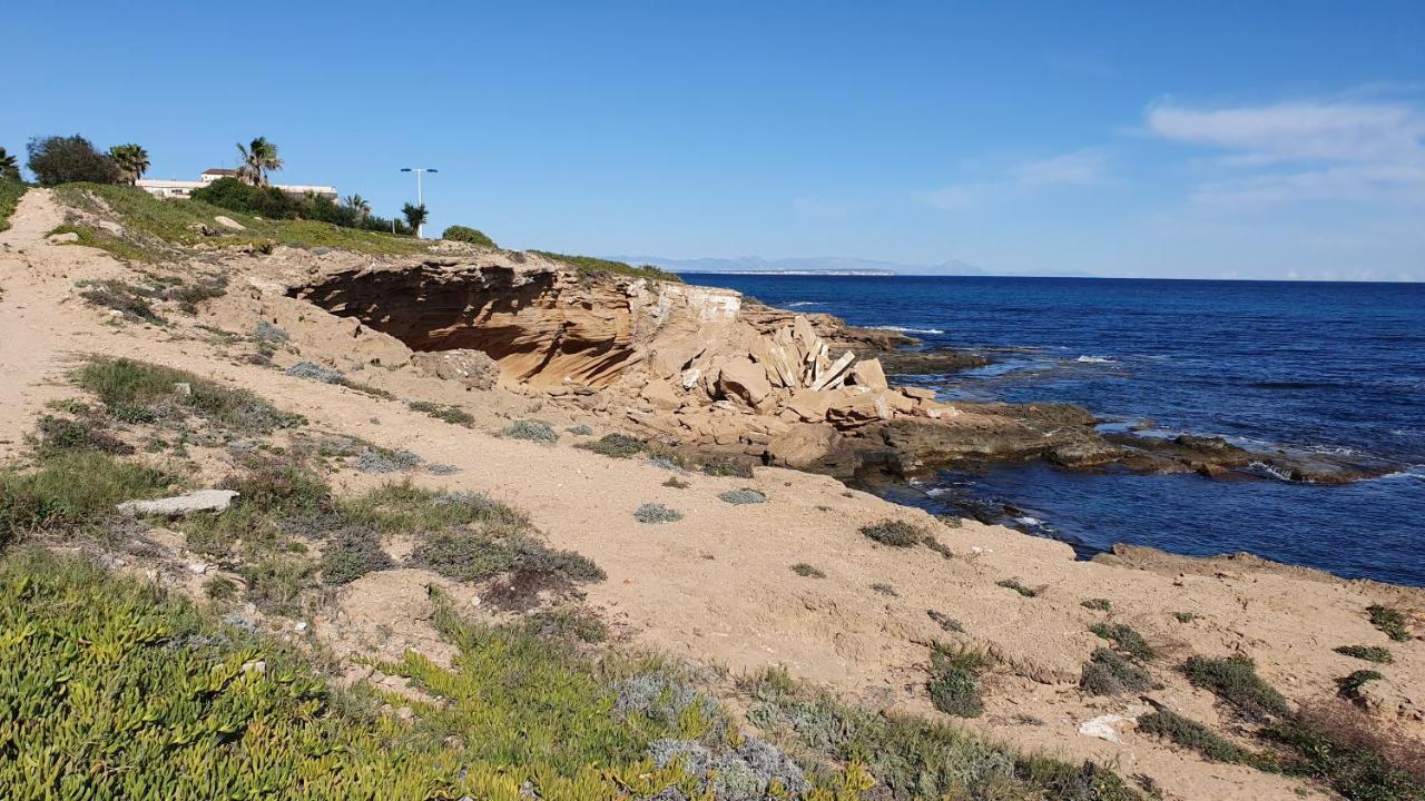 Sunny Apartament Near La Mata Beach ตอร์เรเวียคา ภายนอก รูปภาพ
